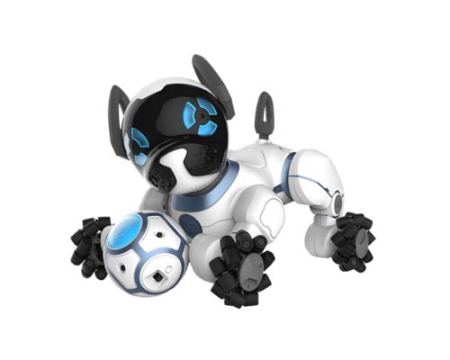 Un chien robot pour vous accompagner